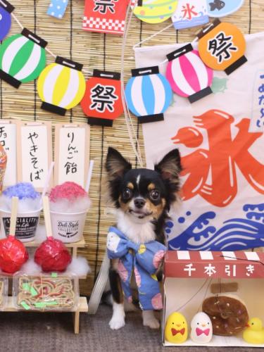 20240718天ちゃん